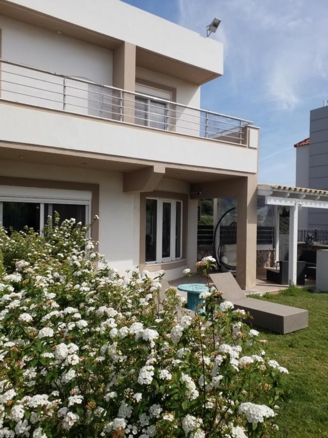 Villa Davinci Outdoor Cinema Koskinou (Rhodes)